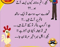 Teacher student late shair aur murgha